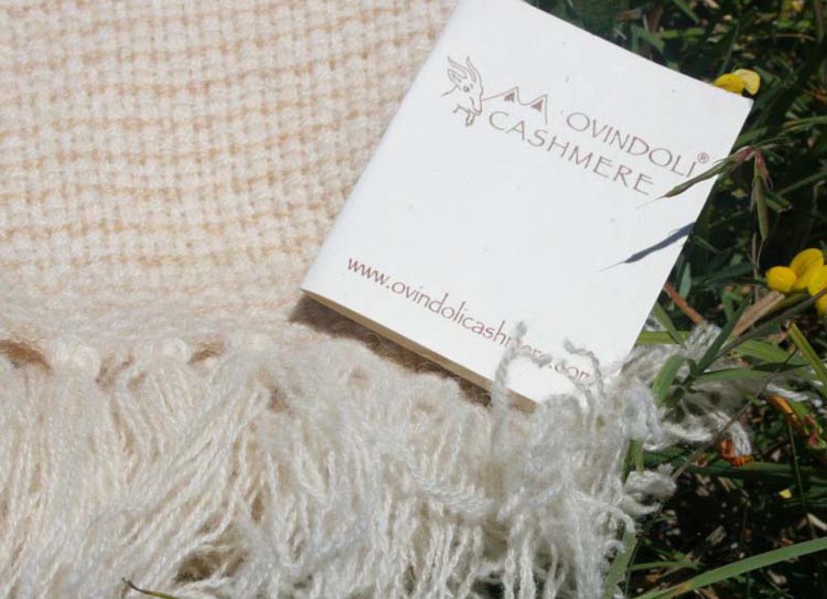 lana_cashmere_005
